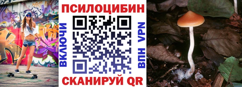 Псилоцибиновые грибы GOLDEN TEACHER  Купить закладки  Невель 